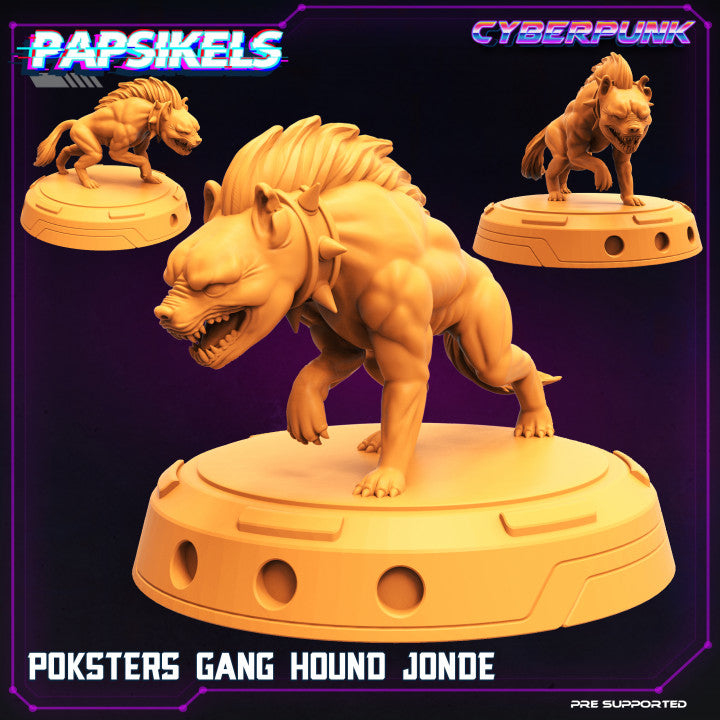 Poksters Gang Hound Jonde (Medium)  - Tabletop Figure for Dungeons & Dragons, DnD, Pathfinder RPGs, TTRPG