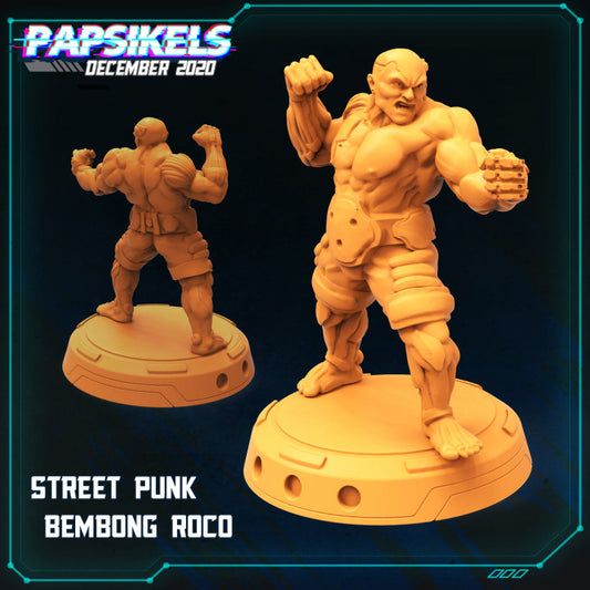 Street Punk Aya Bembong Roco