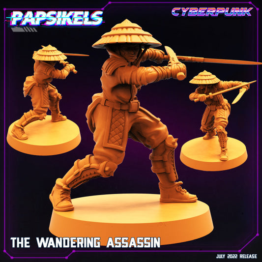 The Wandering Assassin