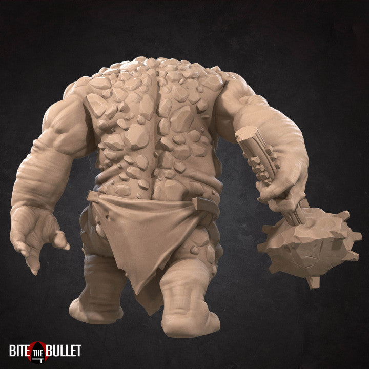 Cave Troll (Large) - Tabletop Figure for Dungeons & Dragons, DnD, Pathfinder RPGs, TTRPG