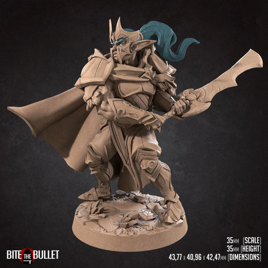 Vahdian, the Fighter Night Elf (Medium) - Tabletop Figure for Dungeons & Dragons, DnD, Pathfinder RPGs, TTRPG