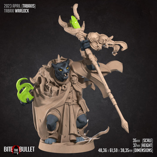 Tabaxi Warlock (Medium) - Tabletop Figure for Dungeons & Dragons, DnD, Pathfinder RPGs, TTRPG