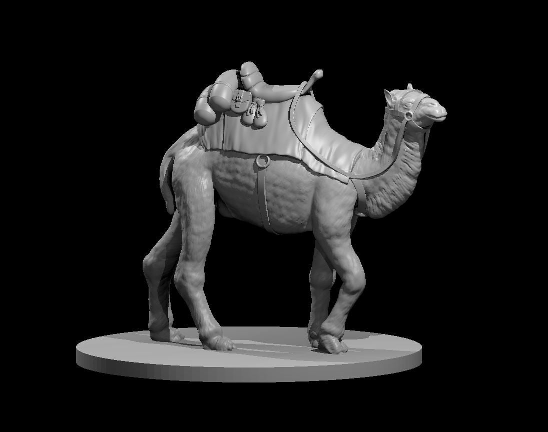 Camel Mount