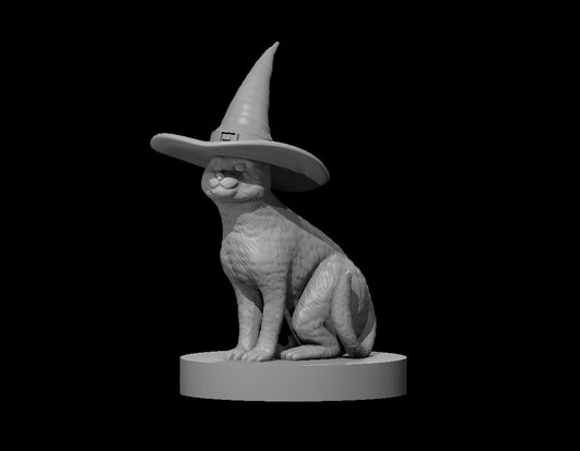 Cat In Witch Hat