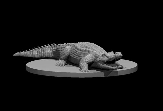 Crocodile