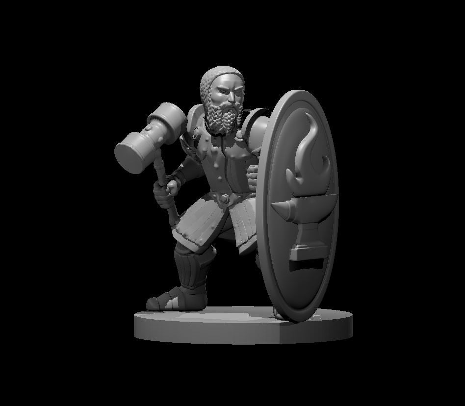 Dwarf Fighter