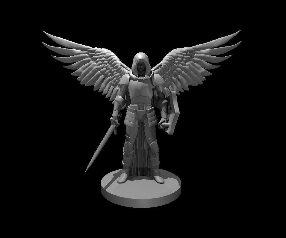 Aasimar Paladin