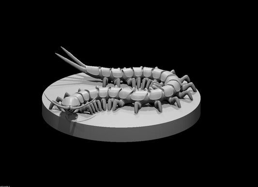 Giant Centipede