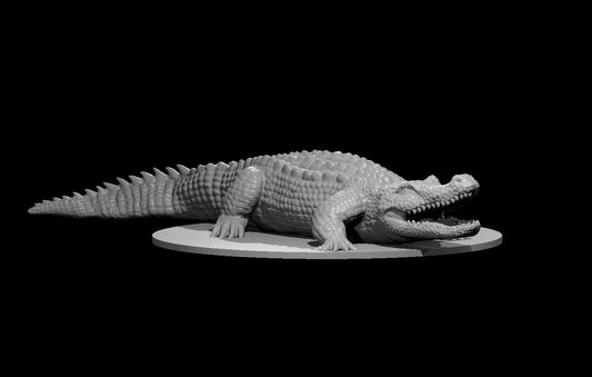 Giant Crocodile