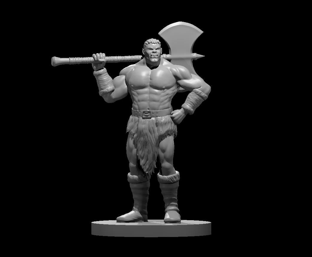 Half Orc Barbarian