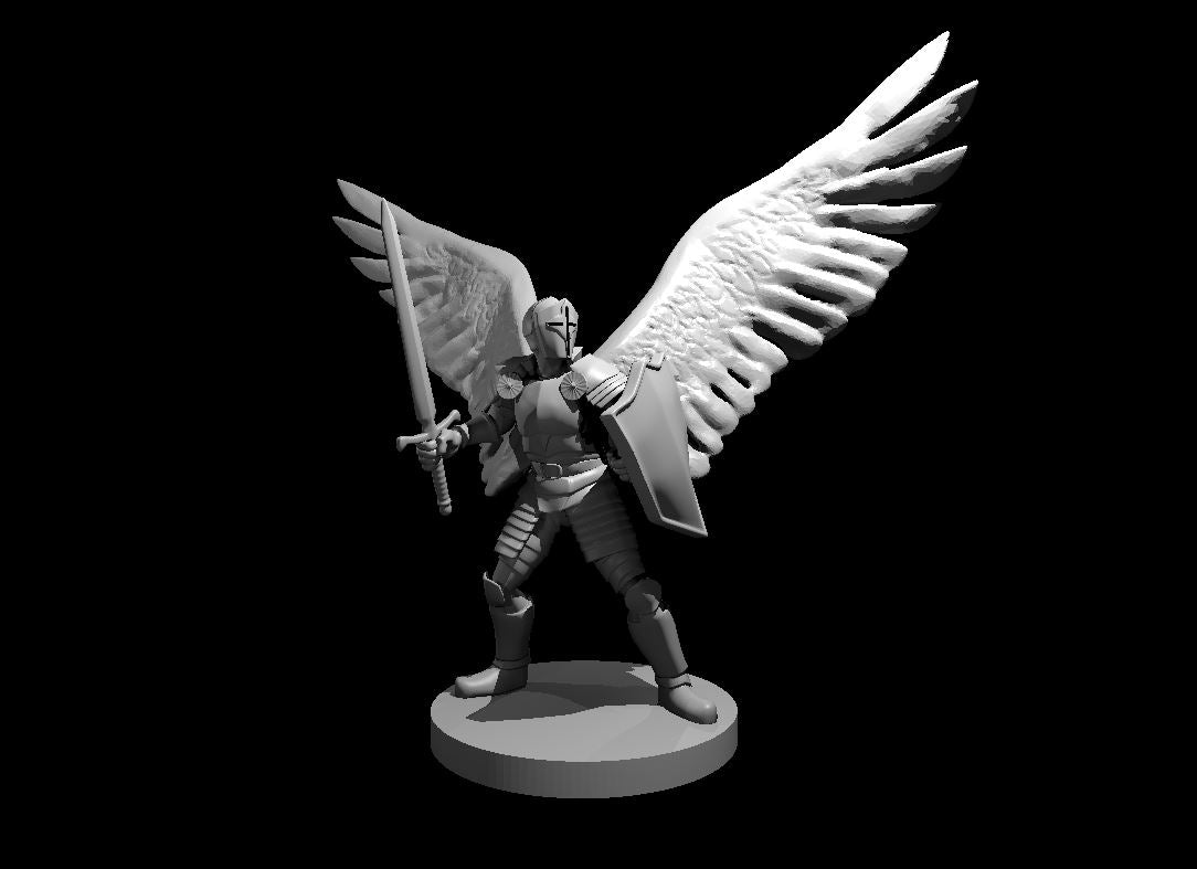 Aasimar Paladin