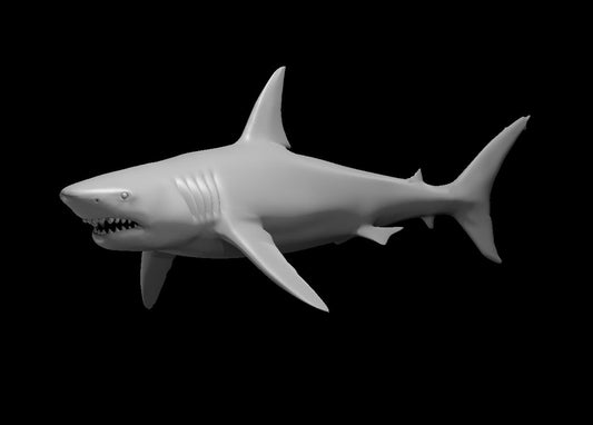 Hunter Shark