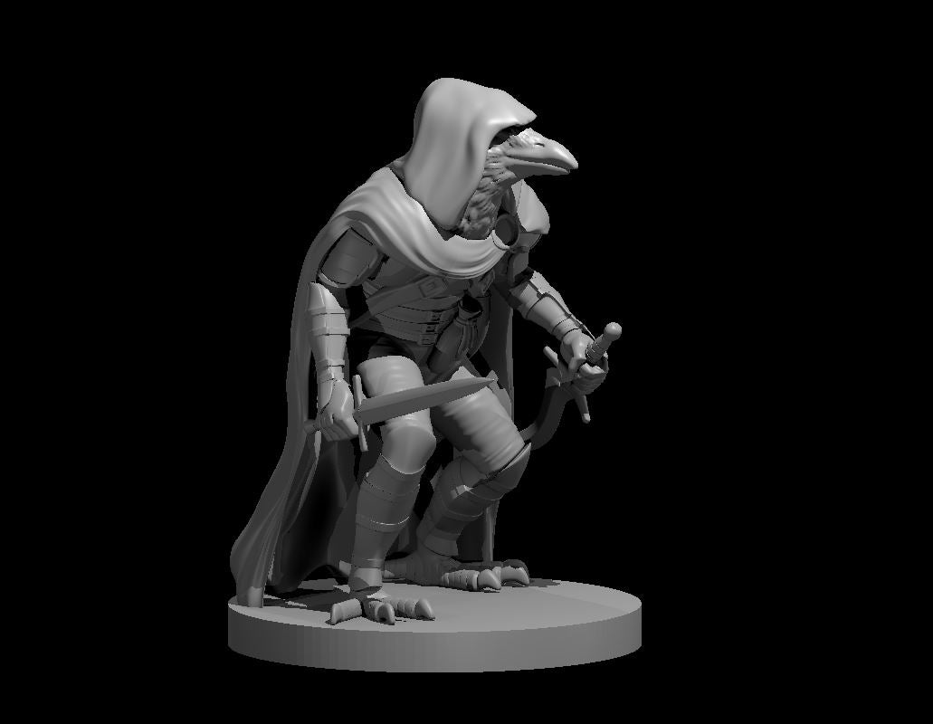 Kenku Rogue