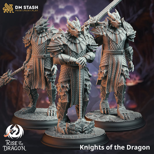 Squad Of Silver Dragonborn Knights