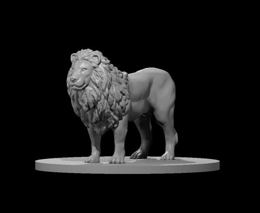 Lion