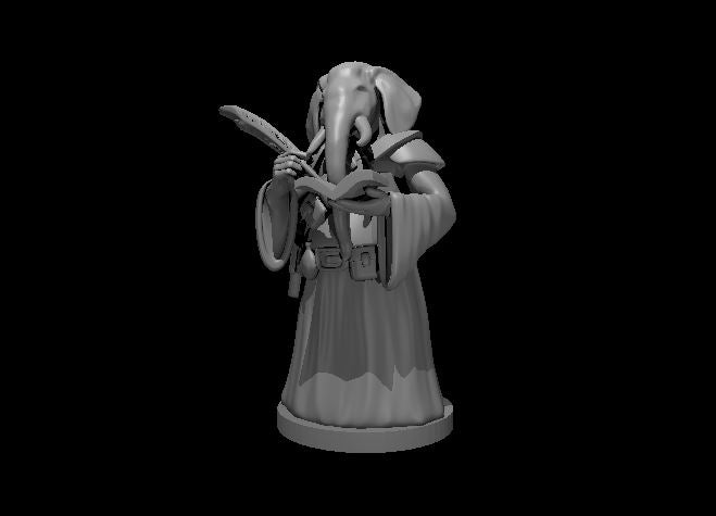 Loxodon Wizard