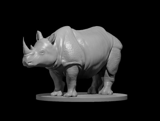 Rhinoceros