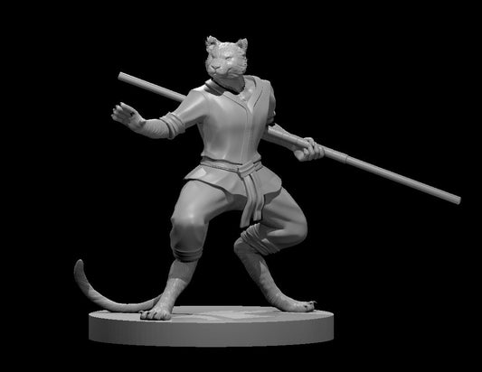 Tabaxi Monk