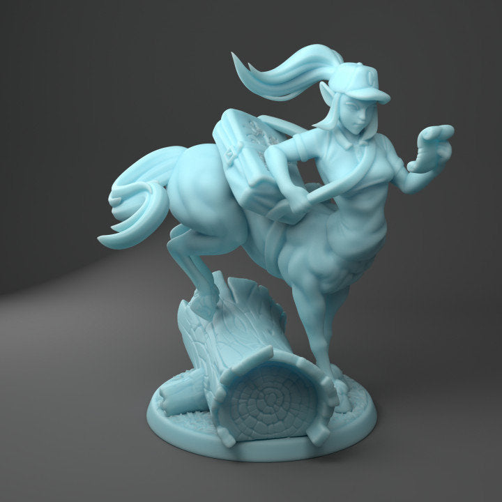 Dordesh The Centaur (Large) - Tabletop Figure for Dungeons & Dragons, DnD, Pathfinder RPGs, TTRPG