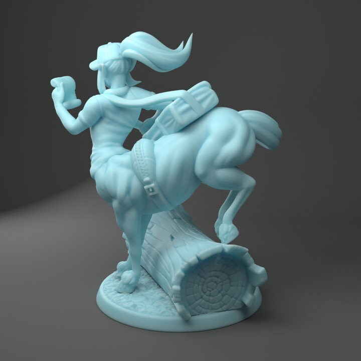 Dordesh The Centaur (Large) - Tabletop Figure for Dungeons & Dragons, DnD, Pathfinder RPGs, TTRPG