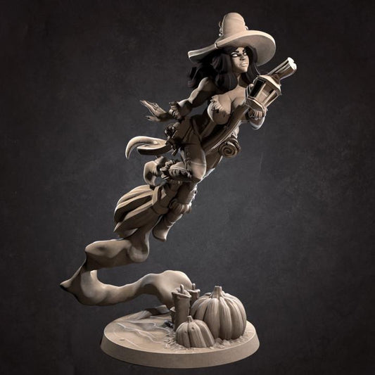 Dorotea, The Pirate Witch (Medium) - Tabletop Figure for Dungeons & Dragons, DnD, Pathfinder RPGs, TTRPG