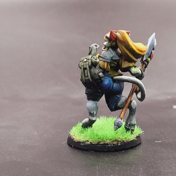 Belle, The Holstaur Fighter (Medium) - Tabletop Figure for Dungeons & Dragons, DnD, Pathfinder RPGs, TTRPG