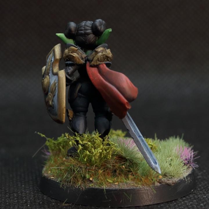 Pint, The Goblin (Medium) - Tabletop Figure for Dungeons & Dragons, DnD, Pathfinder RPGs, TTRPG