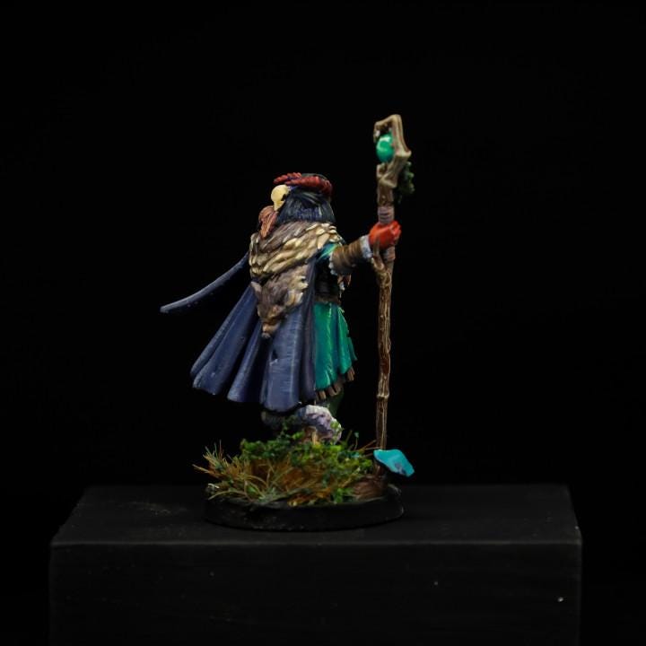 Lysera, The Tiefling Druid (Medium) - Tabletop Figure for Dungeons & Dragons, DnD, Pathfinder RPGs, TTRPG