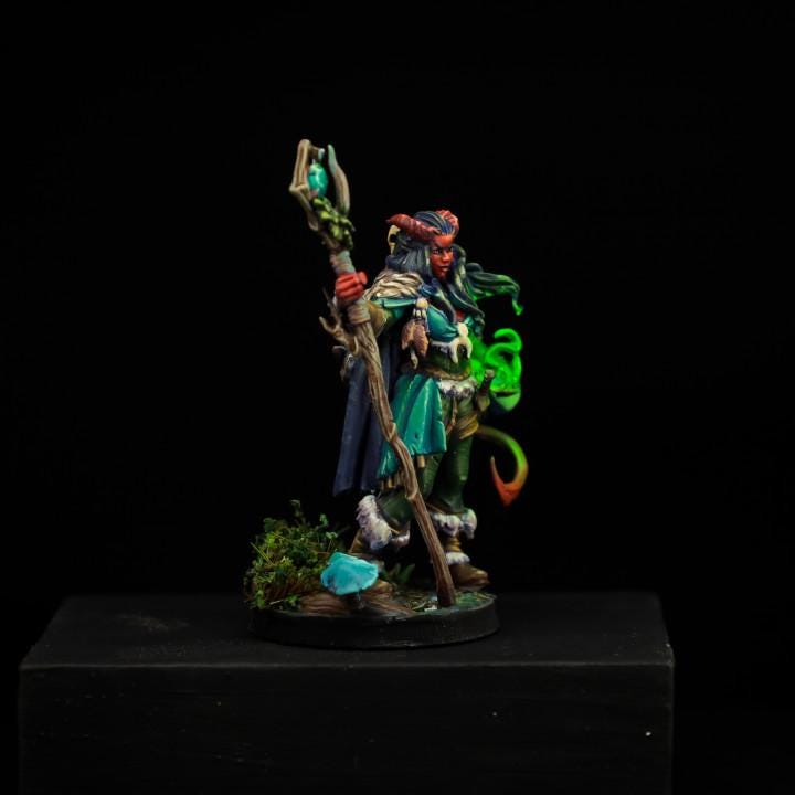 Lysera, The Tiefling Druid (Medium) - Tabletop Figure for Dungeons & Dragons, DnD, Pathfinder RPGs, TTRPG