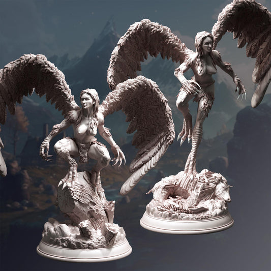 Hill Harpies - Hyl Hygrie (Bundle) - 3D Printed Tabletop Figure for Dungeons & Dragons, DnD, Pathfinder RPGs, TTRPG