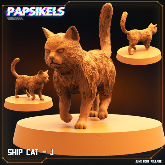 Ship Cat - J