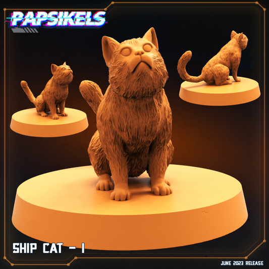 Ship Cat - I