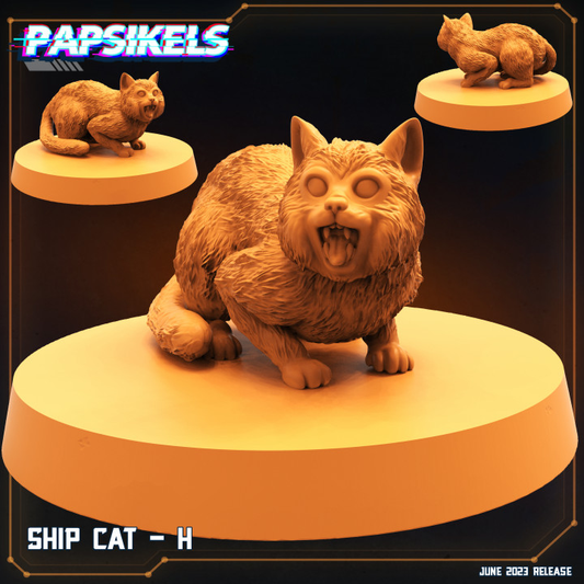 Ship Cat - H
