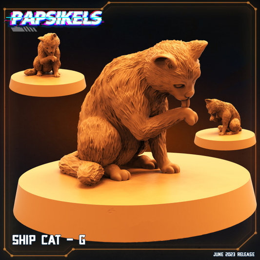 Ship Cat - G