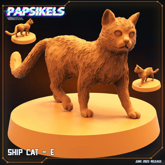 Ship Cat - E