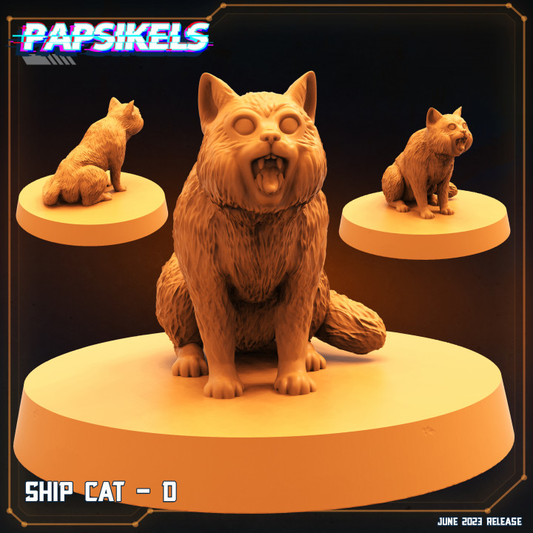 Ship Cat - D
