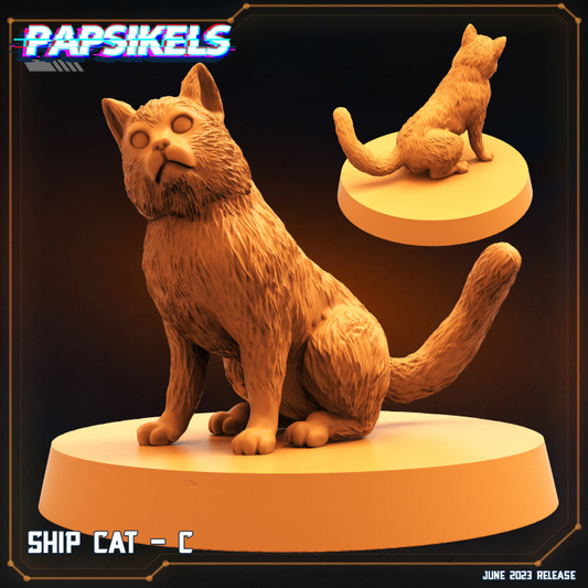 Ship Cat - C