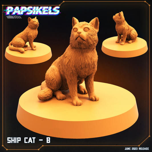 Ship Cat - B
