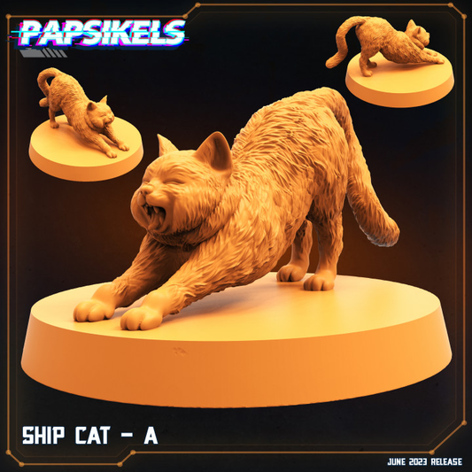Ship Cat - A