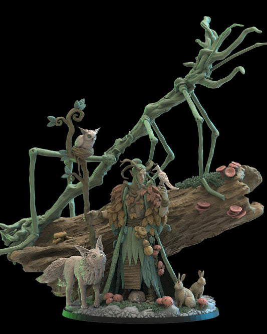Masaki, Ancient Druid