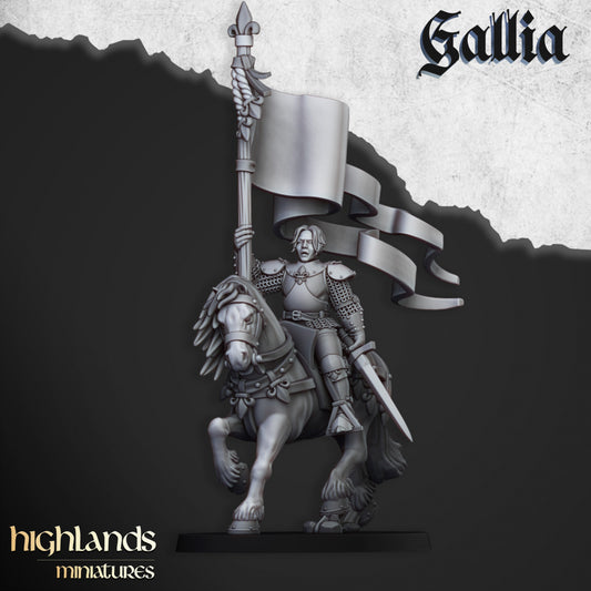 Mounted Baroness of Gallia (1)