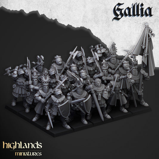 Knights of Gallia Infantry (5)