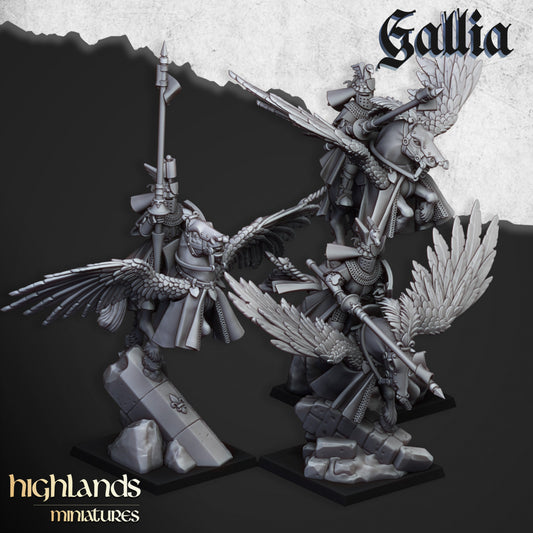 Gallia Knights on Pegasus (3)