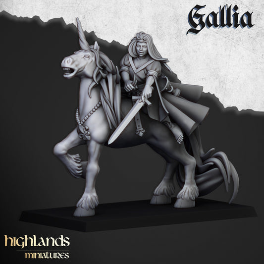 Mounted Lady of Gallia (1)