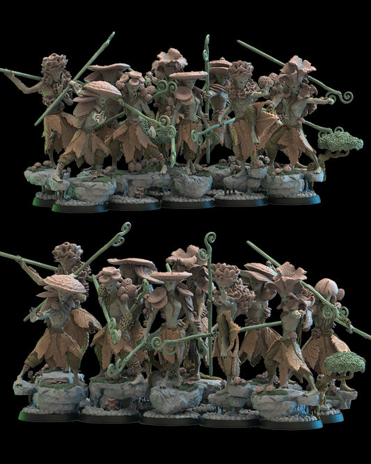 Shaolin Kodamas