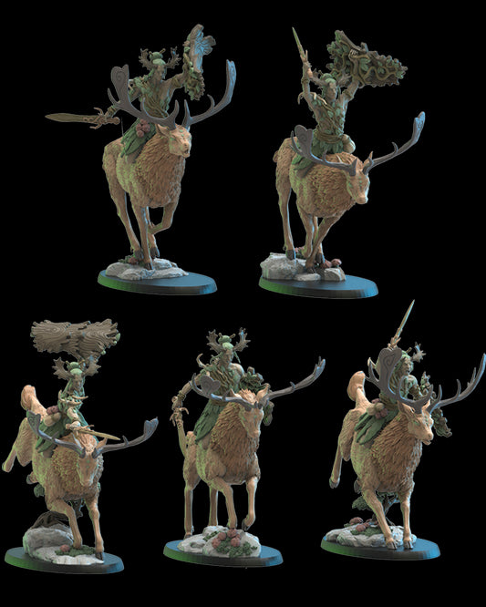 Shika Riders