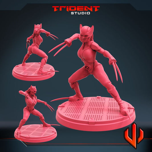 X-23 - B